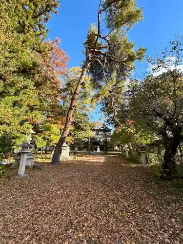 八坂神社(長野県)