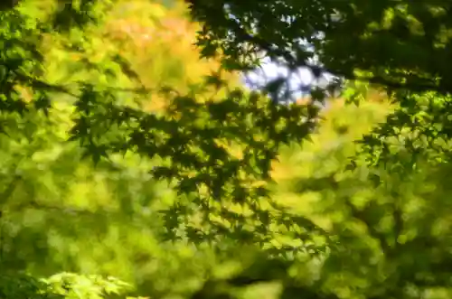  智積院(京都府)