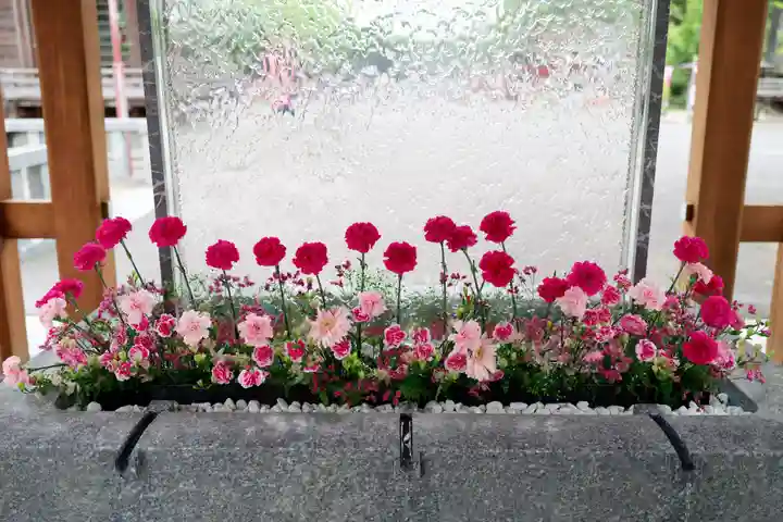 宮地嶽神社(福岡県)