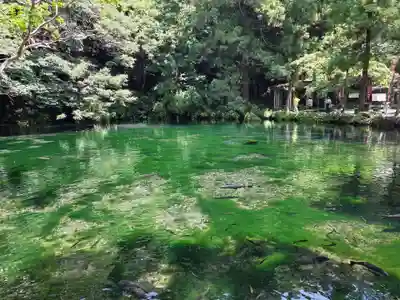 涌釜神社(栃木県)