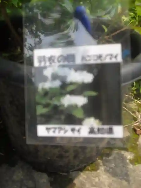 光則寺のその他建物