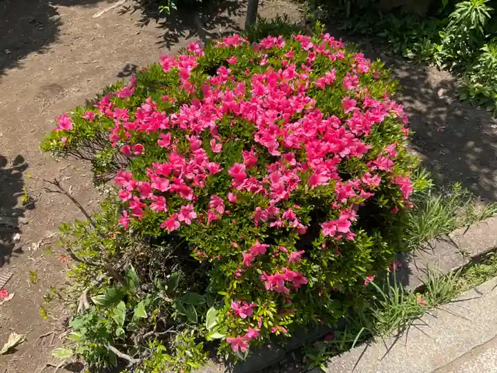 九應寺(九応寺)の自然