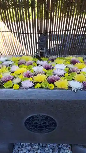 長良神社の手水舎
