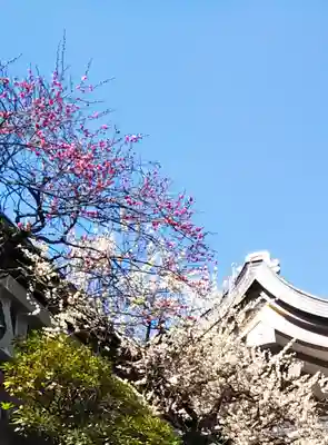 湯島天満宮のその他建物