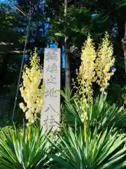 八柱神社(茨城県)