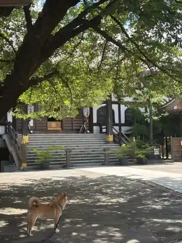 感通寺の{uncategorized: "未分類", other: "その他", undefined: "問題あり", building: "その他建物", grave: "お墓", sacred_gate: "鳥居", guardian: "狛犬", statue: "像", buddha: "仏像", history: "歴史", nature: "自然", garden: "庭園", animal: "動物", pagoda: "塔", temizu: "手水舎", mountain_gate: "山門・神門", sanctuary: "本殿・本堂", subordinate: "末社・摂社", art: "芸術", scenery: "景色", jizo: "地蔵", ema: "絵馬", goshuin: "御朱印", omikuji: "おみくじ", items: "授与品その他", amulet: "お守り", goshuincho: "御朱印帳", eats: "食事", festival: "お祭り", votive_dance: "神楽", shichigosan: "七五三参", wedding: "結婚式", experience: "体験その他", initially: "初詣", around: "周辺", anti_infection: "感染症対策"}