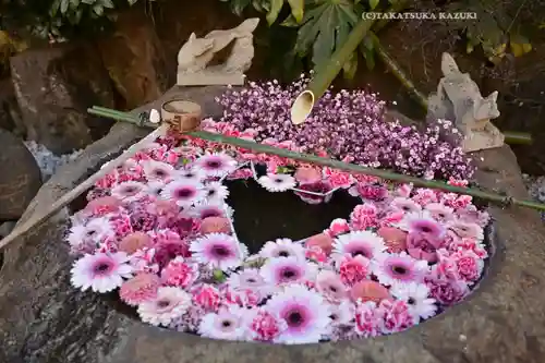 東京羽田 穴守稲荷神社(東京都)