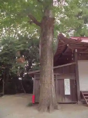 腰掛神社の自然