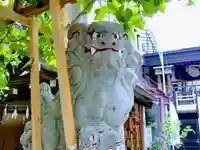菊名神社の狛犬