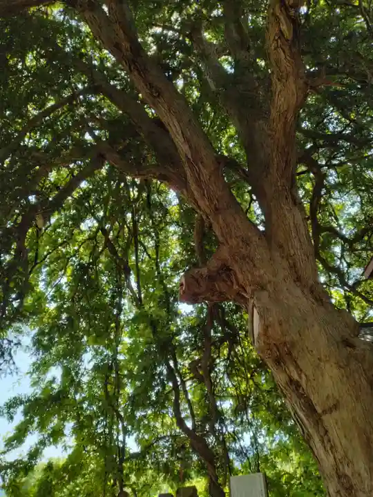 深山神社(福島県)