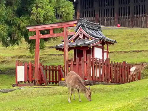 興成神社（東大寺境内社）の動物