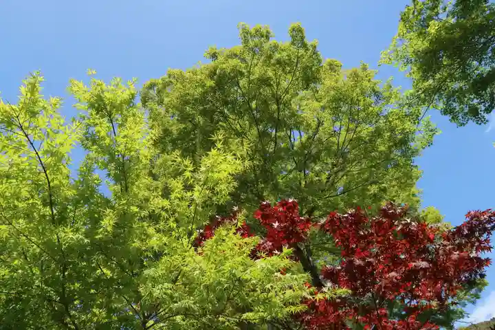 普門寺(切り絵御朱印発祥の寺)(愛知県)