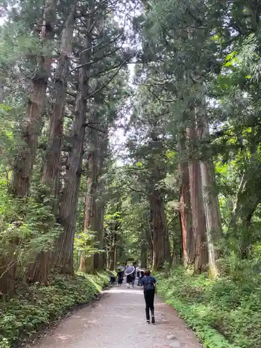 戸隠神社奥社(長野県)