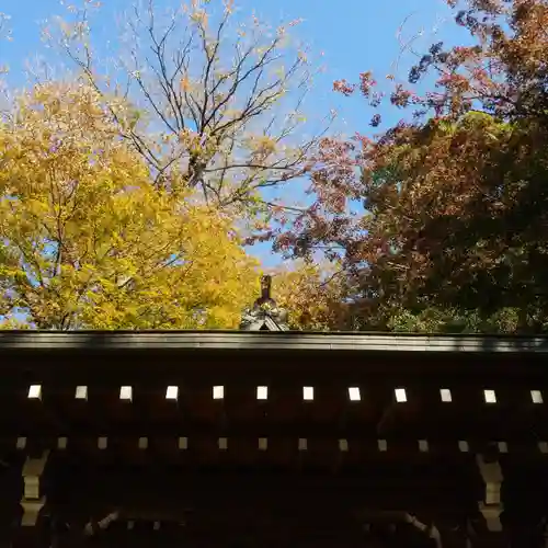 春日神社の自然