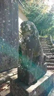葉山神社の狛犬