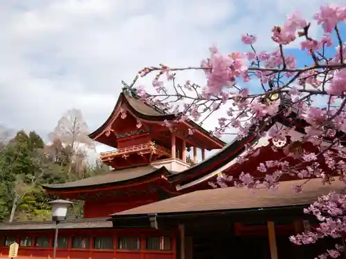 富士山本宮浅間大社(静岡県)