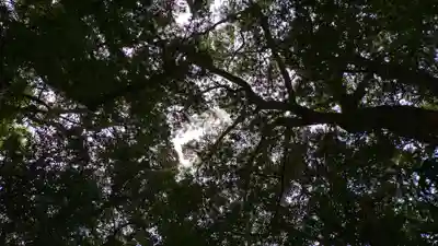 伊雜宮（皇大神宮別宮）(三重県)