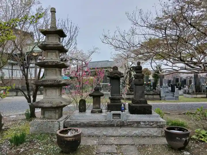 妙行寺の{uncategorized: "未分類", other: "その他", undefined: "問題あり", building: "その他建物", grave: "お墓", sacred_gate: "鳥居", guardian: "狛犬", statue: "像", buddha: "仏像", history: "歴史", nature: "自然", garden: "庭園", animal: "動物", pagoda: "塔", temizu: "手水舎", mountain_gate: "山門・神門", sanctuary: "本殿・本堂", subordinate: "末社・摂社", art: "芸術", scenery: "景色", jizo: "地蔵", ema: "絵馬", goshuin: "御朱印", omikuji: "おみくじ", items: "授与品その他", amulet: "お守り", goshuincho: "御朱印帳", eats: "食事", festival: "お祭り", votive_dance: "神楽", shichigosan: "七五三参", wedding: "結婚式", experience: "体験その他", initially: "初詣", around: "周辺", anti_infection: "感染症対策"}