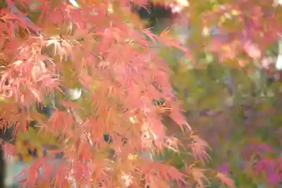 禅林寺(永観堂)(京都府)
