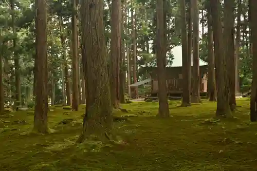 平泉寺白山神社(福井県)