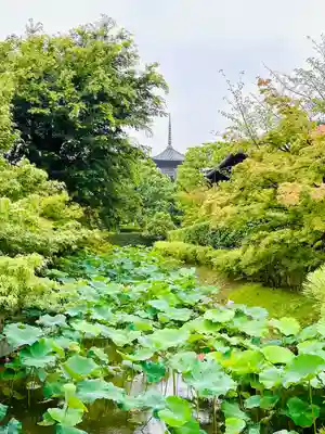 東寺（教王護国寺）(京都府)