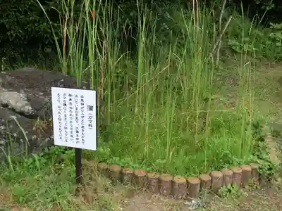 白兎神社のその他建物