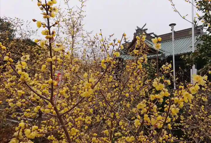 板倉雷電神社の自然