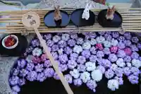 阿邪訶根神社の手水舎