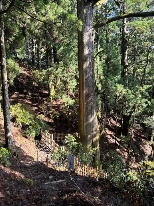 玉置神社(奈良県)