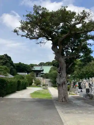 圓福寺（円福寺）(神奈川県)