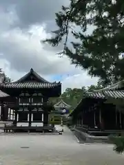 唐招提寺(奈良県)