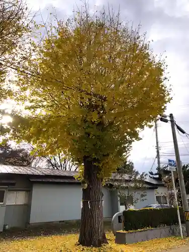 黒石神社(青森県)