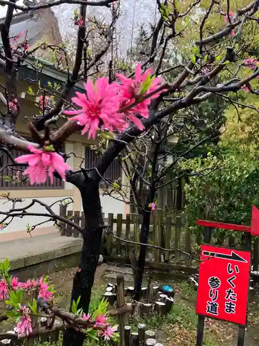 難波大社　生國魂神社(大阪府)