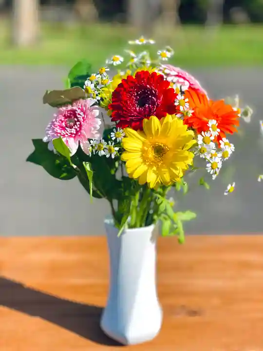 伊達神社の自然