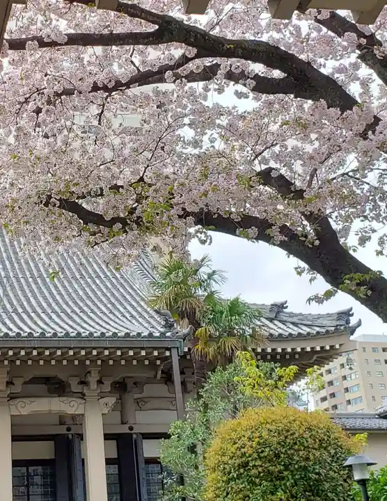 報恩寺(東京都)