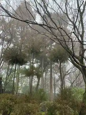 龍安寺(京都府)