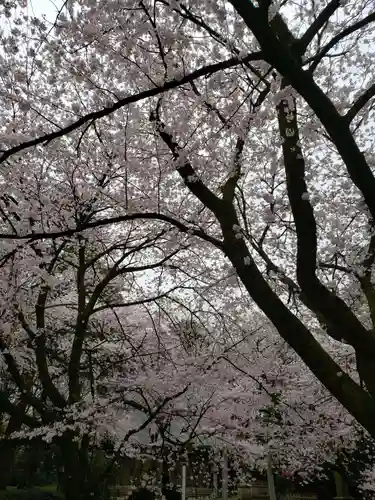 射水神社の自然