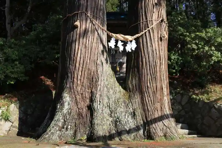 菅布禰神社の自然