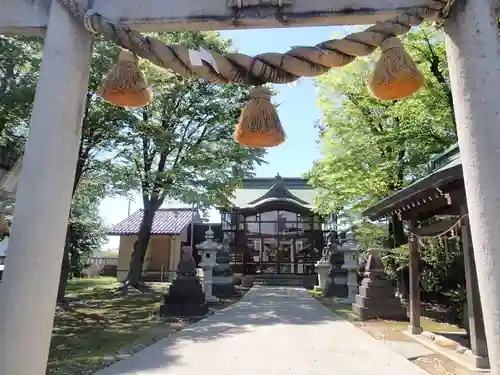 野間神社の鳥居