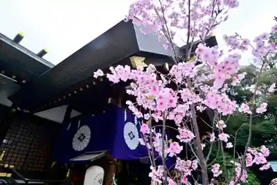 東京大神宮(東京都)