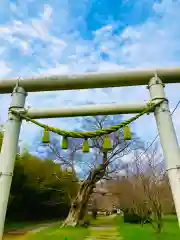 金村別雷神社(茨城県)