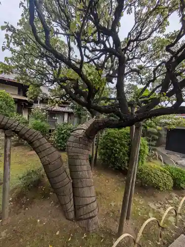 中道院(東京都)