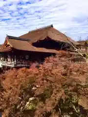 清水寺(京都府)