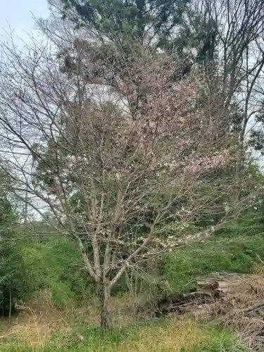 興聖寺の景色