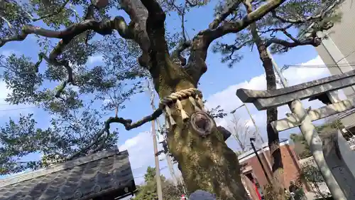 出町妙音堂(京都府)