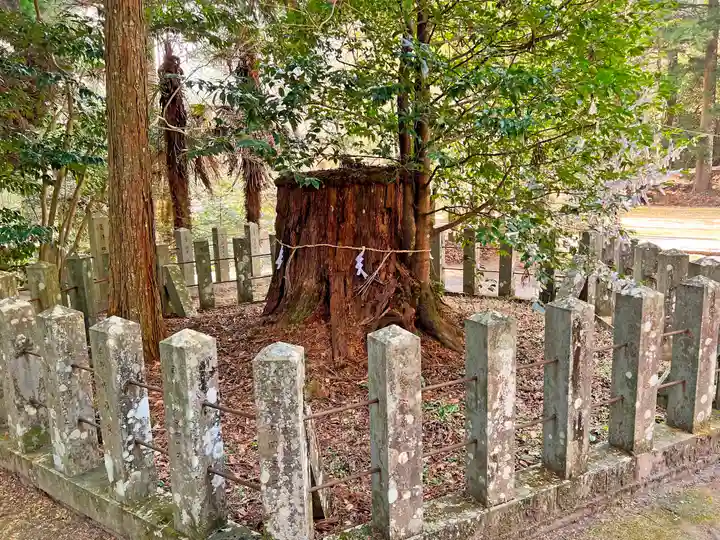 国造神社の自然