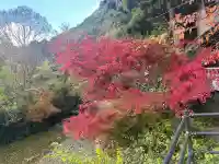 伊野天照皇大神宮(福岡県)