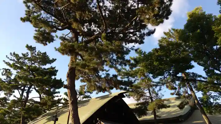 住吉大社のその他建物