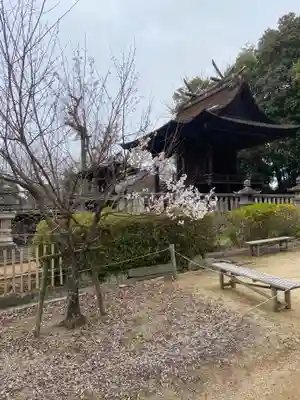 阿智神社(岡山県)