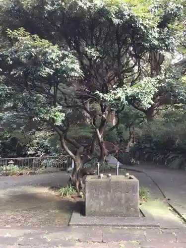 岩殿寺(神奈川県)